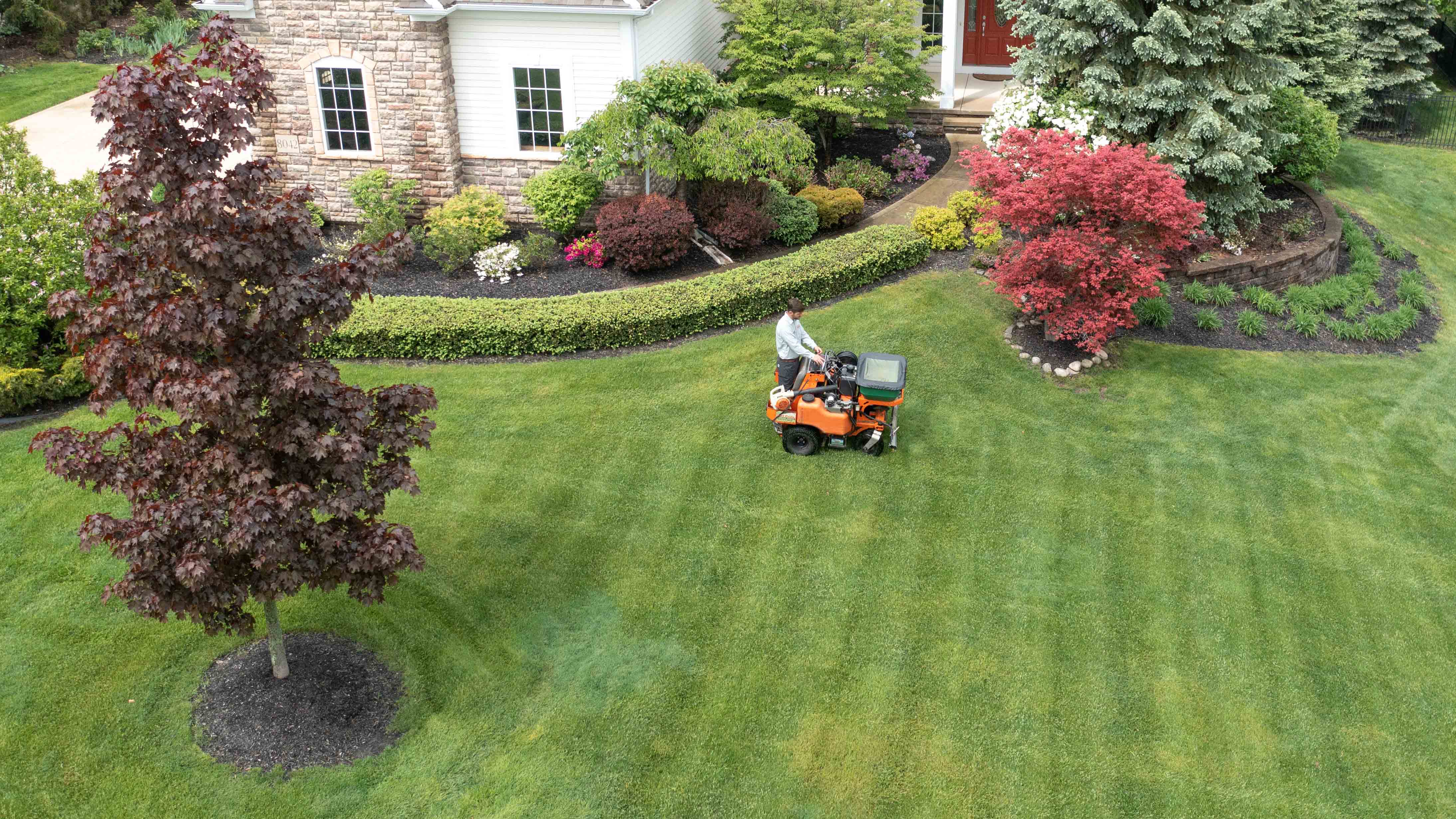 Northeast lawn clearance care